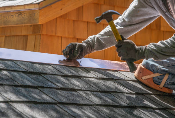 Best Roof Maintenance and Cleaning  in Wade Hampton, SC